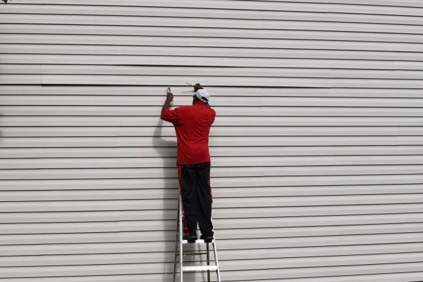 Best Vinyl Siding Installation  in West Dundee, IL