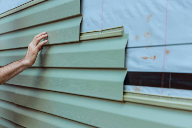 Best Aluminum Siding Installation  in West Dundee, IL